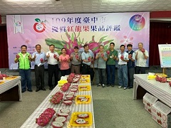 中市優質紅龍果評鑑　外埔農友王國洲奪冠